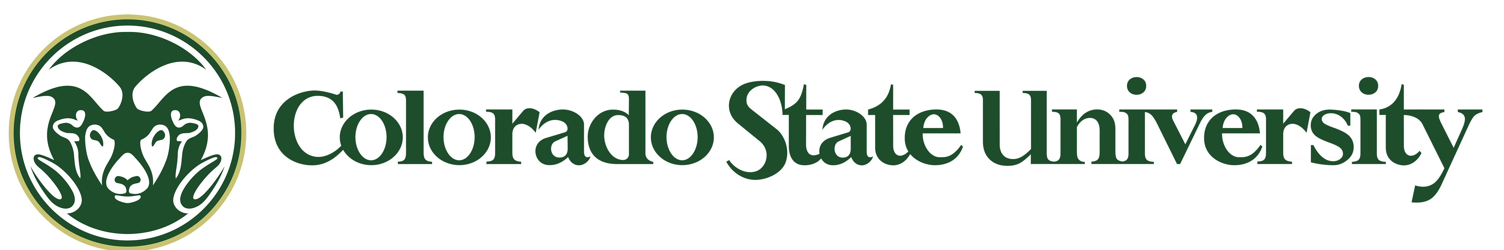 A black background with the word " no state ".